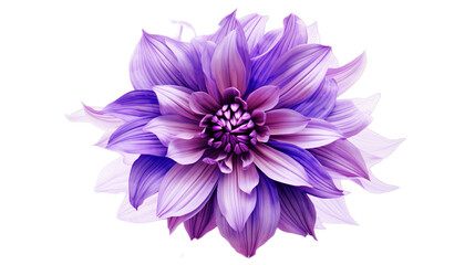 shaggy purple flower design, Isolated on transparent PNG background, Generative ai