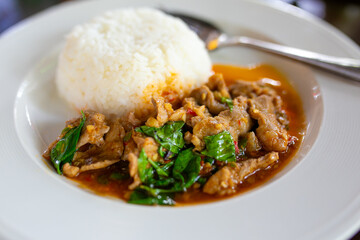 Thai spicy curry with coconut milk and rice on white plate.