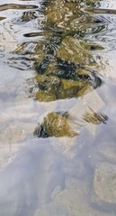 rocks underwater of a shallow freshwater lake