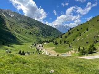 Stone chalets in the beautiful Case di Viso mountain village - Stelvio National Park - Ponte di...