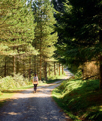 Fototapeta na wymiar woman walk path forest