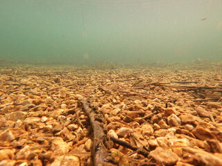 underwater in freshwater lake