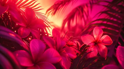 Zelfklevend Fotobehang Tropical Flower Elegance, Fresh Pink and White Blooms, Natures Beauty in Bright Spring Light © Jahid