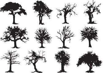 Fototapeta premium tree, vector, flower, silhouette, tattoo, design, illustration, black, decoration, plant, nature, floral, halloween, set, element, leaf, art, pattern, branch, tribal, bird, ornament, summer, symbol, f