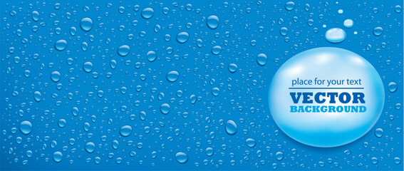 many water drops on blue background with place for text	 - 737230208