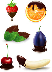 vector illustration chocolate covered many different fruits - 737230281