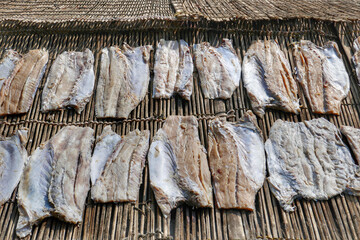 Drying fish in George Town, Malaysia