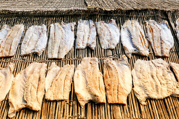 Drying fish in George Town, Malaysia