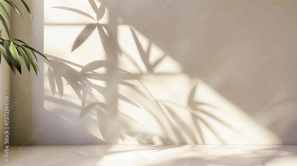 Poster wall interior background, studio and backdrops show products. with leaf shadow from window color bei