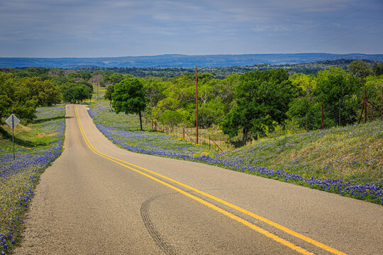 road in a field of bluebonnet flowers in Texas Hill country