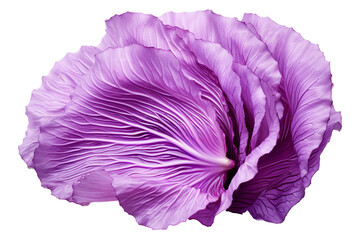 purple cabbage slice, Isolated on transparent PNG background, Generative ai - obrazy, fototapety, plakaty