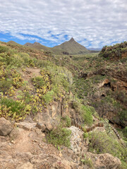 Scenic nature around hiking trail from Arona to mountain Rocke del Conde on Tenerife.