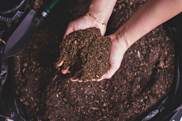 Dirty woman hands holding dark moist soil. Agriculture, organic gardening, planting or ecology...