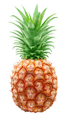 Fototapeta premium Ripe pineapple and pineapple slices isolated on white background. File contains clipping path.
