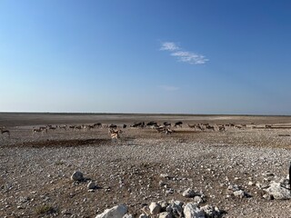 Sossusvlei and sand dunes in the Namib Desert of Namibia