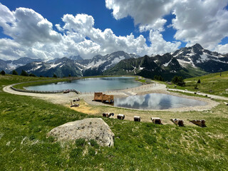 Valbiolo Lake and Adamello Mountain, Passo del Tonale, Italy