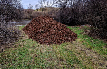 mulch bark from pieces of pine and spruce to prevent weeds from growing and germinating gardener...