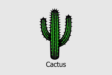 cactus illustration