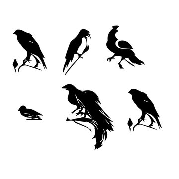 Set of black bird silhouettes black and white Vector elements for design.