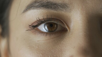Macro shot of female model face. Asian young woman shot cropped face, brown eyes looking at the...