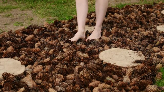 Woman walks barefoot along a massage tactile eco-path made of pine and fir cones in the park, foot massage, prevention of flat feet.Relieving stress, depression, reflexology. Hallux valgus, prevention