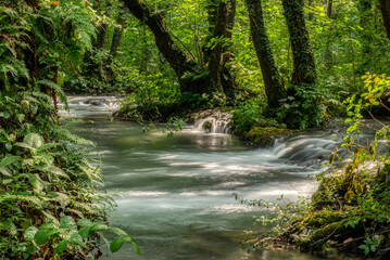 Turquoise color of water in the summer on the river Janj