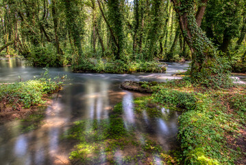 Turquoise color of water in the summer on the river Janj