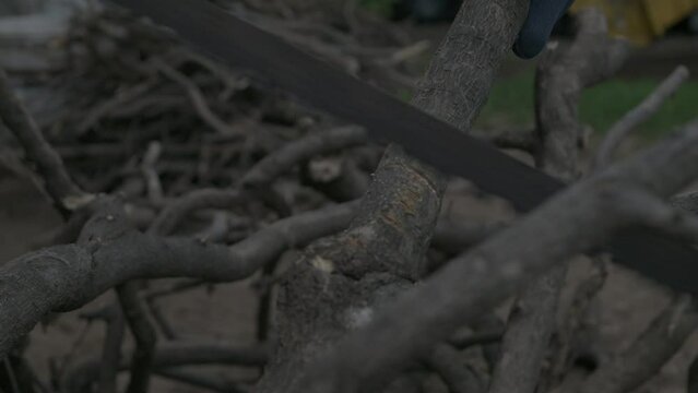 Serruchando a mano ramas de un &aacute;rbol