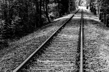 Straight single railway track with at a branch line in a forest near Paderborn Germany, with tall...