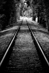 Straight railway track with symmetrical perspective at a branch line in a forest near Paderborn Germany, with tall trees, rusty steel thresholds and screws. Black and white vintage grey scale.