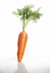 Carrot vegetable with leaves isolated on white background