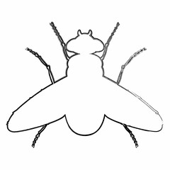 Fly drawing design nature insects.