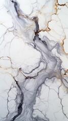 Black and white marble texture with gold veins