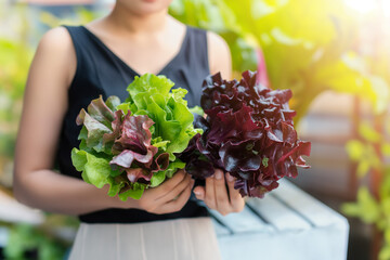 A girl sells fresh greens from a farm on the counter.