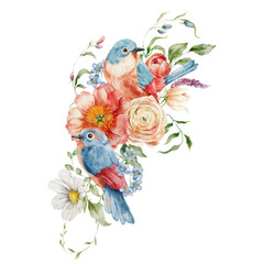 Watercolor bouquet of peonies, forget-me-not, ranunculi and song birds. Hand painted card of floral elements isolated on white background. Holiday flowers Illustration for design, print or background. - 737286451