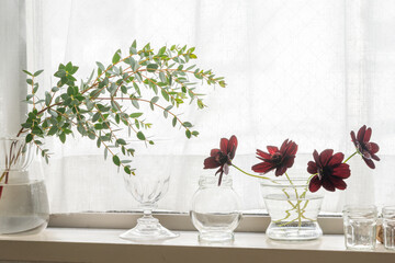 窓際に飾ったチョコレートコスモスとユーカリ