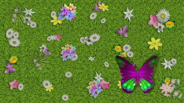 Filmato. Illustrazione 3D. Primavera, estate. Fiori e farfalle su prato verde texture. Sfondo campo di erba con fiori colorati e farfalle..