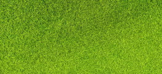 green grass background plant, summer, pattern, turf, meadow, garden, spring, green, soccer, ground,...