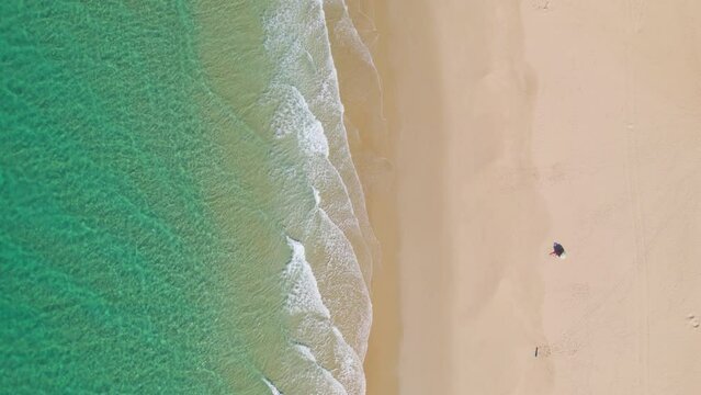 A perfect beach with nobody, in a sunny day and with colorful water, sea and ocean with litle waves; view from a drone shot