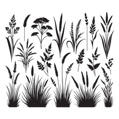 Free Download vector tree illustration