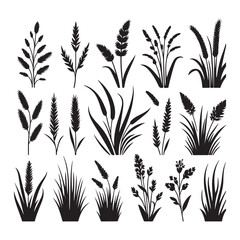 Free Download vector tree illustration