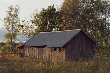 Obraz premium abandoned summer barn in the grass