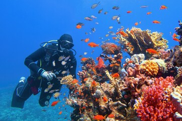 Scuba diver near beautiful coral reef surrounded with shoal of colorful coral fish