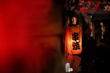 Omoide Yokocho - Tokyo, Japan