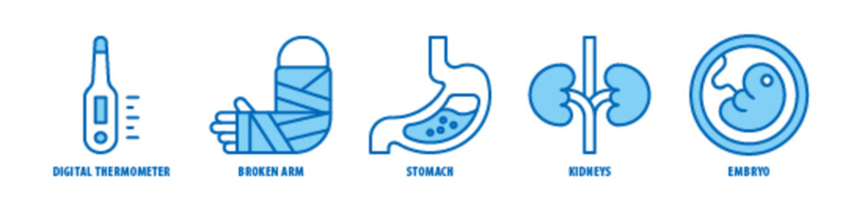 Embryo, Kidneys, Stomach, Broken Arm, Digital Thermometer editable stroke outline icons set isolated on white background flat vector illustration.