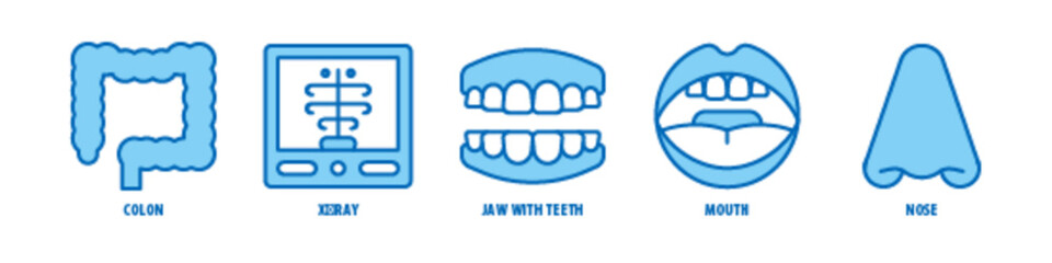 Nose, Mouth, Jaw With Teeth, X-Ray, Colon editable stroke outline icons set isolated on white background flat vector illustration.