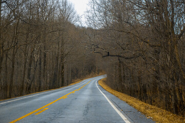 A lonely and empty street during the autumn season. It is foliage time, thus all of the leaves have been blown, dry branches are visible. Salt has been put on the street to prevent icing, slippery