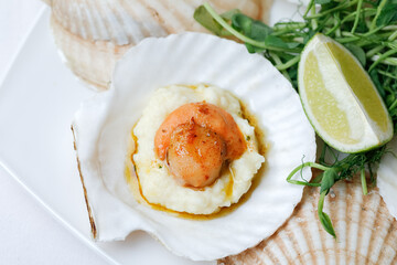 Seafood scallop cooked with caviar and served with mashed potatoes on sink with sauce. Flat Lay, close up.