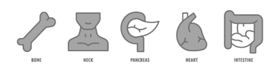 Intestine, Heart, Pancreas, Neck, Bone editable stroke outline icons set isolated on white background flat vector illustration.