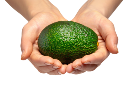 A person holds a ripe avocado fruit in their hands, showcasing its size, texture, and green color. Isolated.